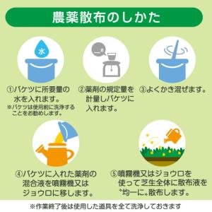 芝生用殺菌剤 トップグラスドライフロアブル 1...の詳細画像5