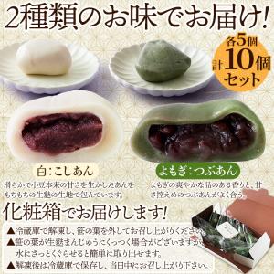 麩まんじゅう (こしあん・よもぎ) 各5計10...の詳細画像3