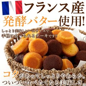 フランス産発酵バター使用しっとりやわらか♪プチケーキ2種50個