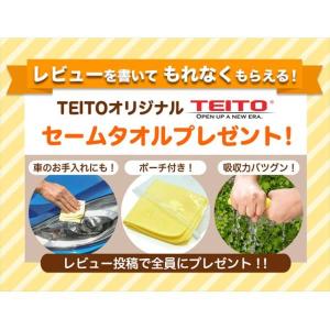 TEITO テイト 3本セット 4573512...の詳細画像4