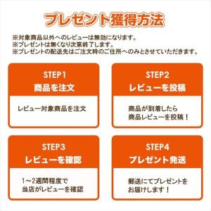 TEITO テイト 3本セット 4573512...の詳細画像5