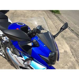 Puig（プーチ） Puig 9722H RACING-SCREEN [SMOKE] SUZUKI GSX250R (17