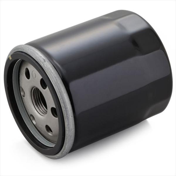 デイトナ  4909449622483  10個入り　デイトナ Daytona  バイク用 リプレイ...