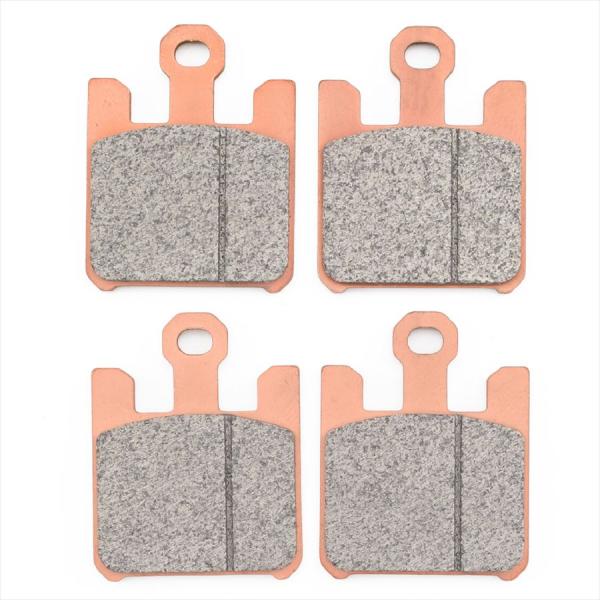 ネコポス DAYTONA デイトナ    4909449680476  67735  ゴールデンパッ...