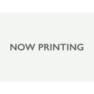 DAYTONA デイトナ   92258 排ガス試験成績書 92255用