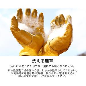 デグナー DEGNER WL962 グローブ 4色の詳細画像4