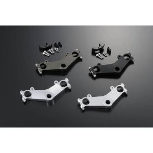 ポッシュフェイス POSHFaith マシンドTZレプリカトップブリッジ