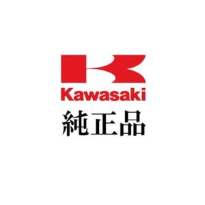 定形外 KAWASAKI カワサキ   J7021-0005 送 カワサキ ライトマウスパッド