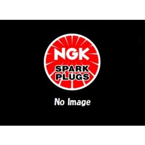 定形外 NGK 0087295143001 LFR5BP-11 4300 一体 エヌジーケー   ス...