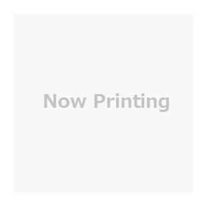 SUPER B スーパービー   4582189769009 98151　98150専用イタリアン替...