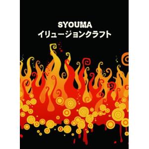 イリュージョンクラフト　ＤＶＤ＜剣刺しや人体出現、瞬間移動などのイリュージョンマジックの作り方を解説！リーズナブルに本格的なイリュージョンを＞｜tejinaya