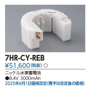 TOSHIBA（東芝） LEDX-259020 部品 （LEDX259020）オプション