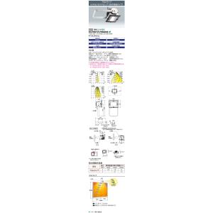 岩崎電気 （送料無料）岩崎 ECF13101/NSAN8 (ECF13101NSAN8) レディ