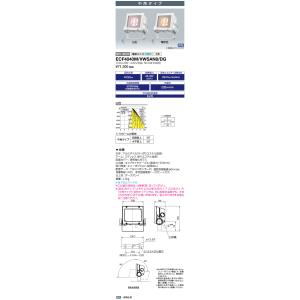 岩崎電気 送料無料 ECF2040SW/NSAN8/DG (ECF2040SWNSAN8DG