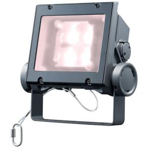 ご購入者様用⭐️送料¥4000⭐️ブラックナット¥4500 岩崎電気 送料無料 ECF6040W/NSAN8/W (ECF6040WNSAN8W