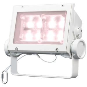 岩崎電気 送料無料 ECF8040W/NSAN8/W (ECF8040WNSAN8W