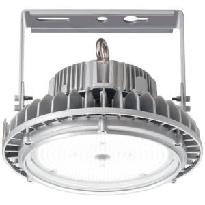 LED投光器  ECF4040W/NSAN8/DG ECF4040SW/NSAN8/DG || LED投光器 岩崎電気 レディオック