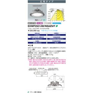岩崎電気 送料無料 ECF6040SW/NSAN8/DG (ECF6040SWNSAN8DG