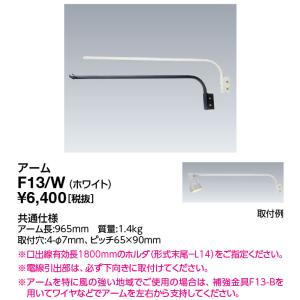 岩崎電気(IWASAKI)サイン広告照明 F13/W （F13W）