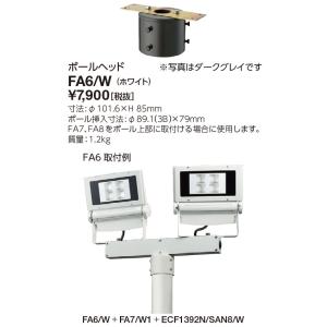 岩崎電気 送料無料 ECF6040SW/NSAN8/DG (ECF6040SWNSAN8DG