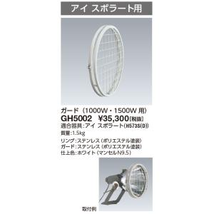 岩崎電気 （送料無料） 岩崎 H10C2A(B)51 (H10C2AB51) アイ水銀ランプ