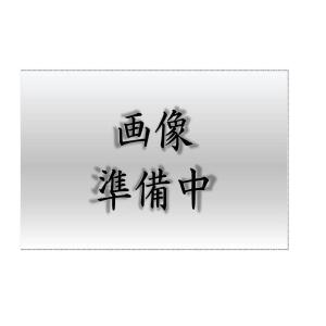岩崎電気 HIDランプ用 安定器 60Hz用 NHL0.7CC2B352 岩崎電気 HIDランプ用 安定器 60Hz用 NHL0.7CC2B352