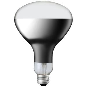 【未使用】　EFG25EL/20　パルックボールスパイラル　ボール電球　100形 EFG25EL/20 パルックボールスパイラル 1個 Panasonic