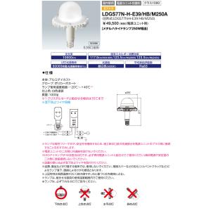 LEDioc [法人限定] LDGS64N-H-E39/HB/SS 岩崎電気 IWASAKI LEDアイ