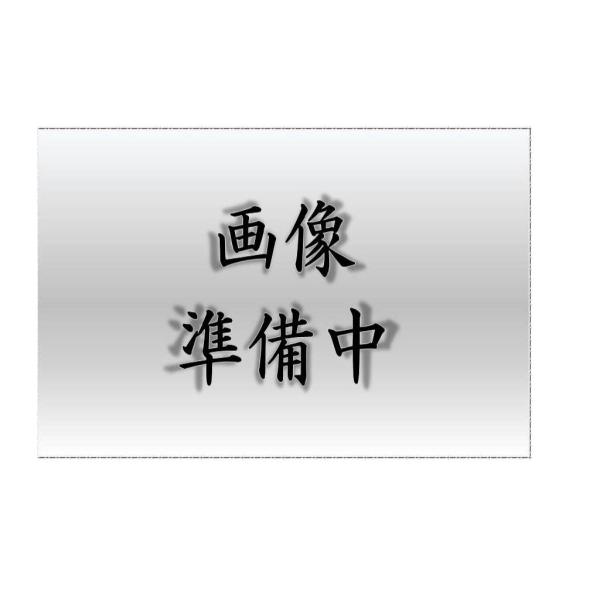 東芝 TOSHIBA LEEM-3-70901N-01 （LEEM370901N01） ＴＥＮＱＯＯ...