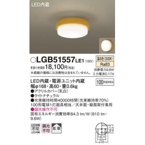 岩崎電気 LDT100-242V28N-G/H100 (LDT100242V28NGH100) LEDランプ LED
