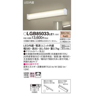 岩崎電気 (送料無料) LDFS62N-G-E39D (旧形式：LDFS79N-G-E39C) LED