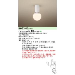 パナソニック NNN53800 天井直付型・壁直...の商品画像