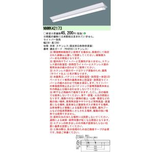 Panasonic（パナソニック） NNFB93605C LED非常灯専用型中天