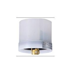 岩崎電気 岩崎 PBM1003 点滅器 (PBM1003) : てかりま専科 - 通販
