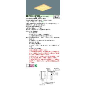 Panasonic（パナソニック） ポイント2倍 XL573PFVK LA9「NNFK35013J+