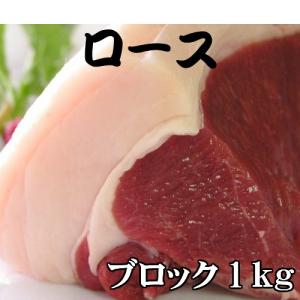 天然ジビエ イノシシ肉 猪肉 国産 島根 1.0kg　ブロック　ロース