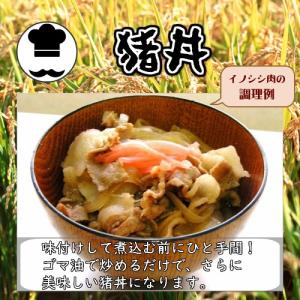 【みそ】匹見産 国産 島根 100g ぼたん鍋...の詳細画像4