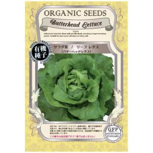 サラダ菜 リーフレタス バターヘッドレタスの種30粒｜tekuteku-net