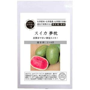 自然農法種子すいか スイカ 夢枕の種10粒｜tekuteku-net