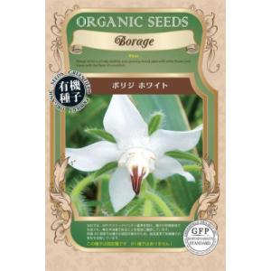 有機種子ボリジ ホワイト　エディブルフラワーの種約15粒｜tekuteku-net
