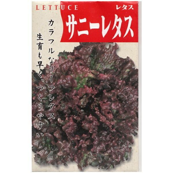 在来種/固定種/野菜のタネ「サニーレタス1ml(約300粒）」畑懐〔はふう〕の種【メール便可】