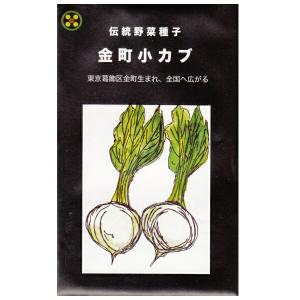 在来種/固定種/野菜のタネ畑懐の種