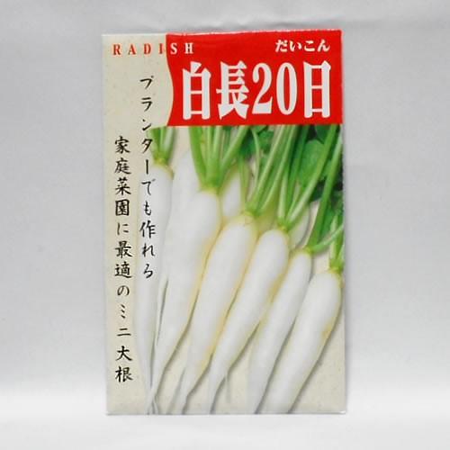 在来種/固定種/野菜のタネ「白長20日大根(ミニ大根)5ml(約340粒）」畑懐〔はふう〕の種【メー...