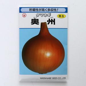 【国内採種/固定種】奥州玉葱(晩生)の種5ml(約800粒）　畑懐〔はふう〕の種【メール便可】