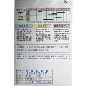 【国内採種/固定種】奥州玉葱(晩生)の種5ml...の詳細画像1