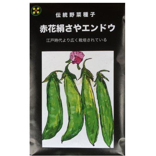 在来種/固定種/野菜のタネ「赤花絹莢エンドウ（つるなし）15ml(約60粒）」畑懐〔はふう〕の種【メ...