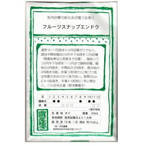 【固定種】フルーツスナップエンドウの種20ml...の詳細画像1