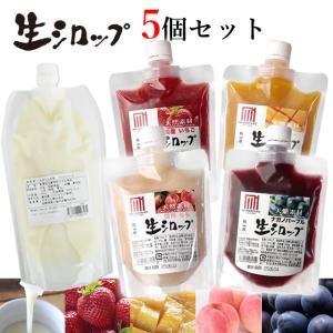 天然フルーツのかき氷シロップ 氷屋さんちの削氷 〔けずりひ〕 おすすめ5個セット 【冷凍】｜tekuteku-net