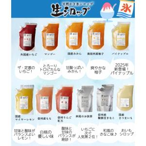 フルーツのかき氷シロップ 氷屋さんちの削氷 〔...の詳細画像3