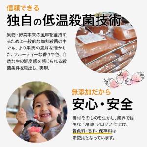 フルーツのかき氷シロップ 氷屋さんちの削氷 〔...の詳細画像5